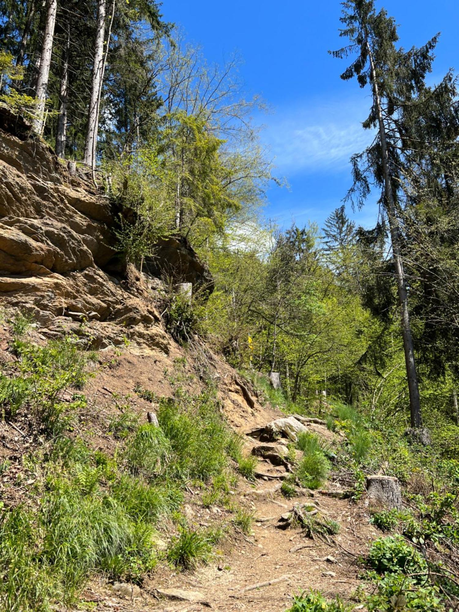 סאטנדורף Ferienwohnung Mit Seeblick - Ossiacher See Gerlitzen מראה חיצוני תמונה